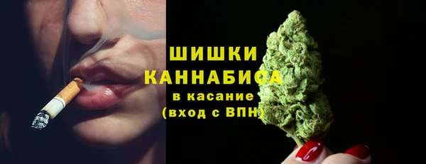 сатива Волосово